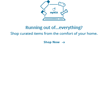 sterling vca animal hospital