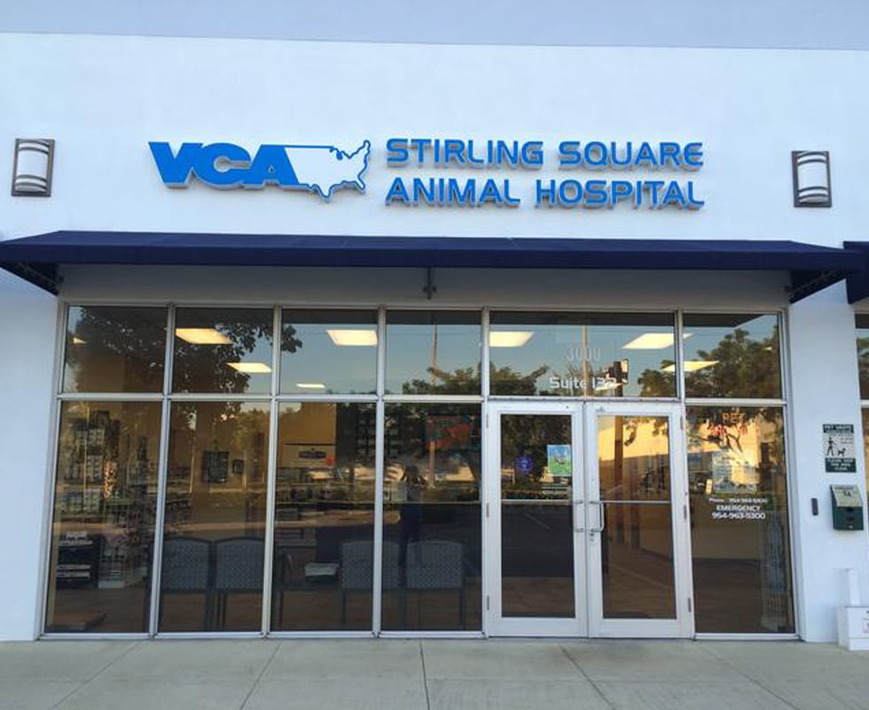 Hospital Picture of VCA Stirling-Square Animal Hospital
