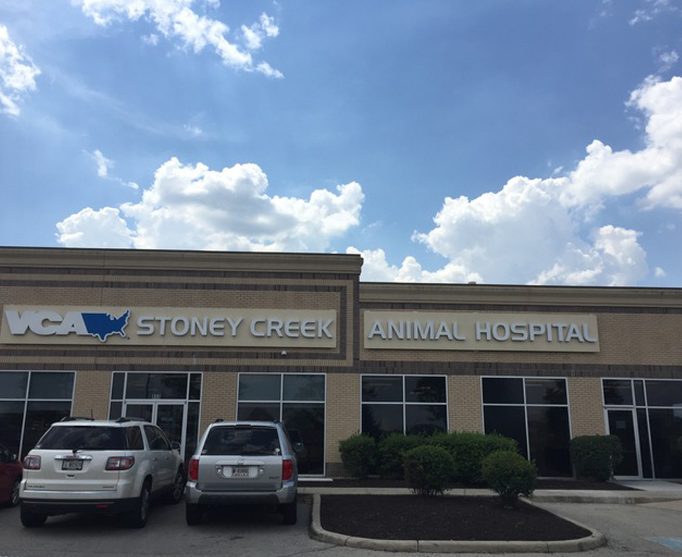 Hospital Picture of  VCA Stoney Creek Animal Hospital