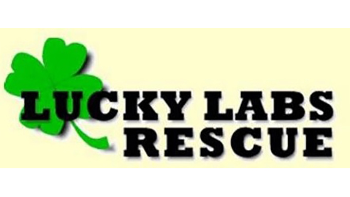 Lucky Lab Rescue Community Partner Stoney Creek