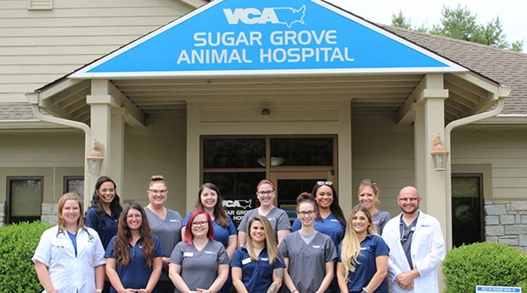 Veterinarians in Greenwood, IN | VCA Sugar Grove Animal Hospital