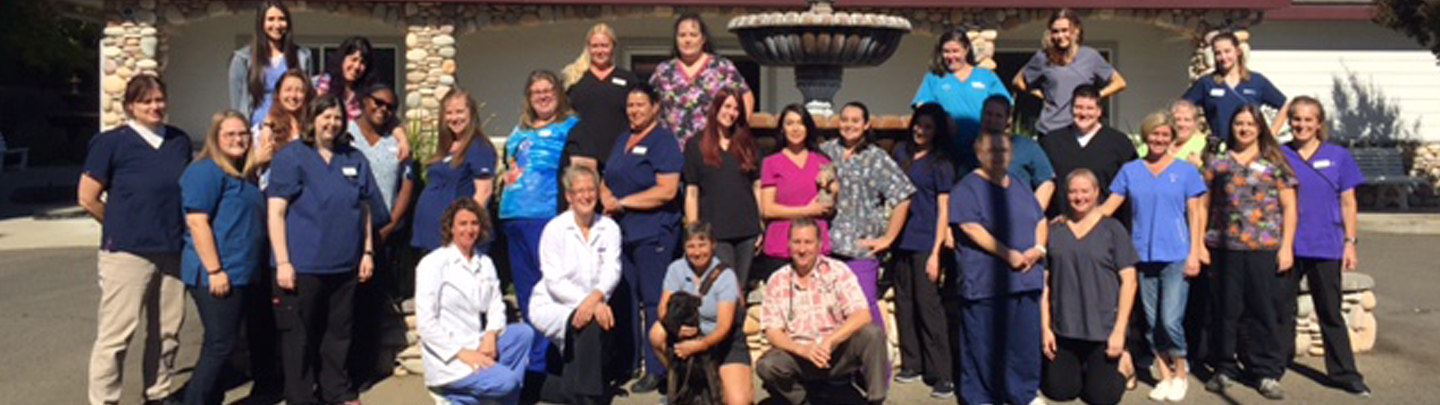 Team Picture of VCA Sunset Animal Hospital