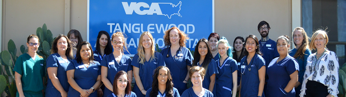Our Team at VCA Tanglewood