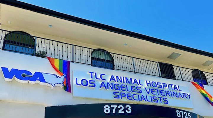 Hospital Picture of  VCA TLC Animal Hospital