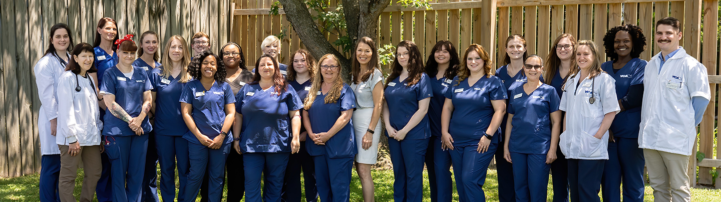 Team Picture of VCA Todds Lane Animal Hospital