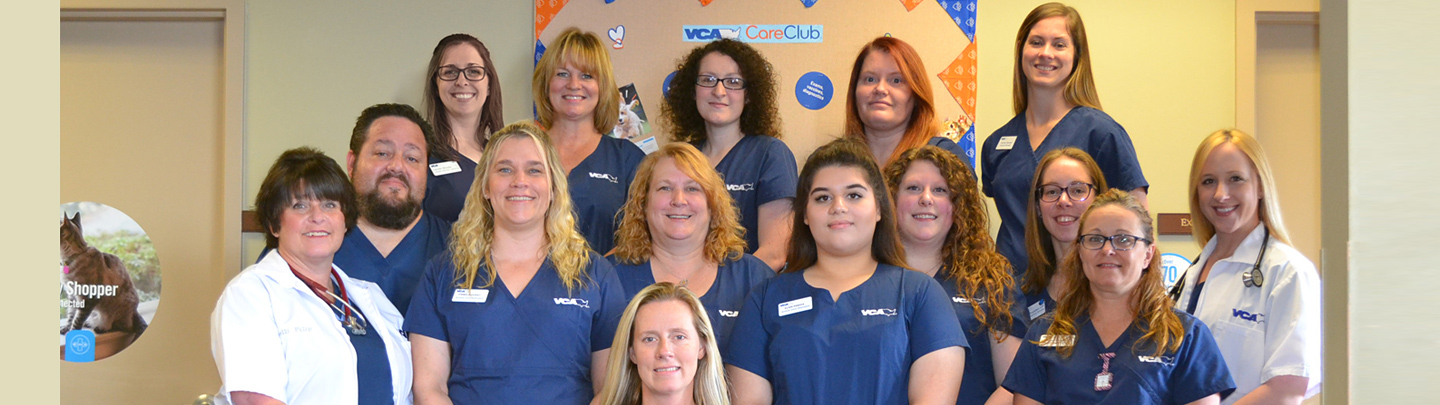 Team Picture of VCA Tomball Veterinary Hospital
