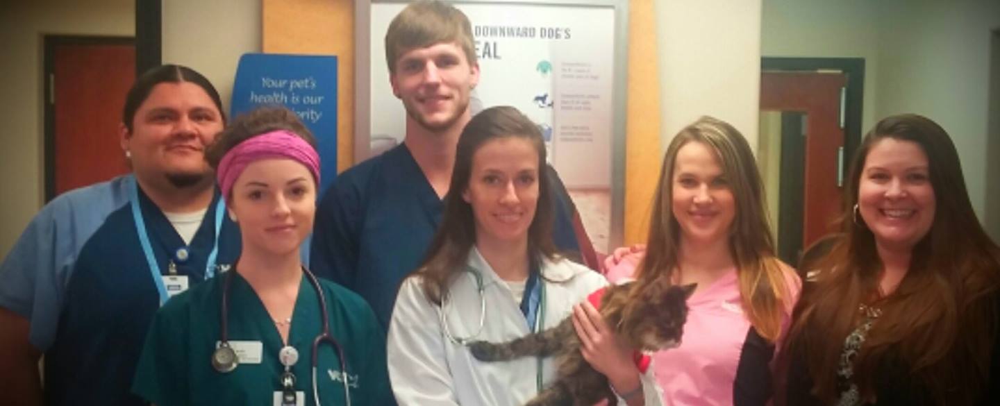 Veterinarians in Richmond, VA VCA Total Care Animal Hospital