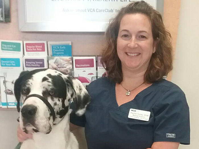 Richmond Vets at VCA Total Care Animal Hospital