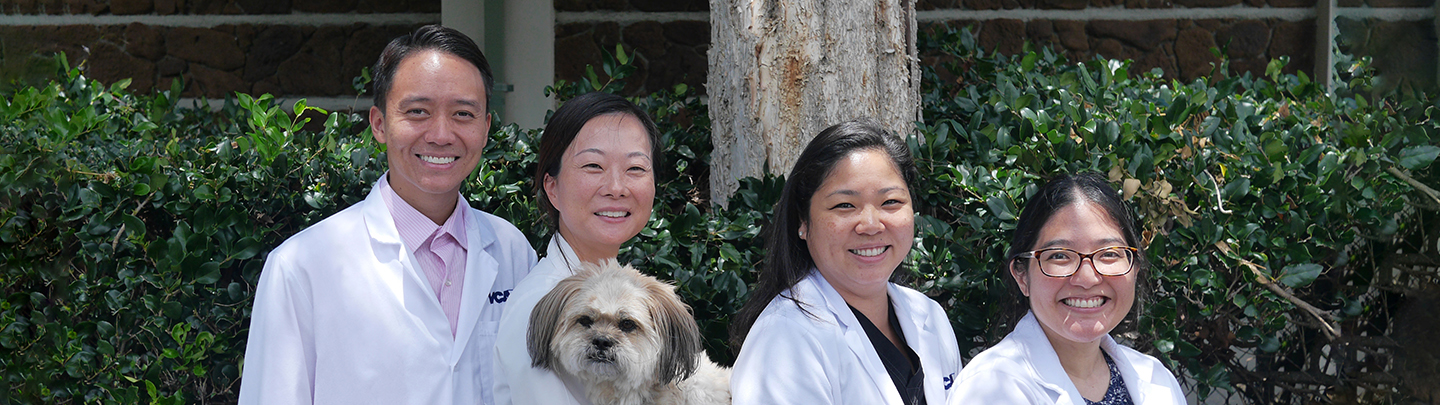 Team Picture of VCA University Animal Hospital