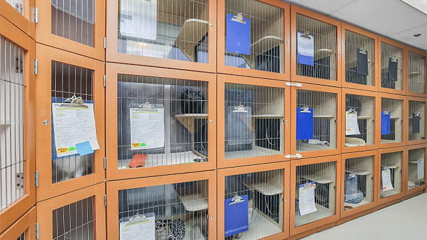 VCA University Animal Hospital Cat Condos