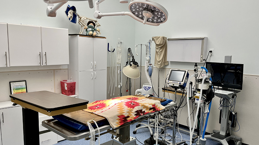 Surgery Suite at VCA University Veterinary Clinic