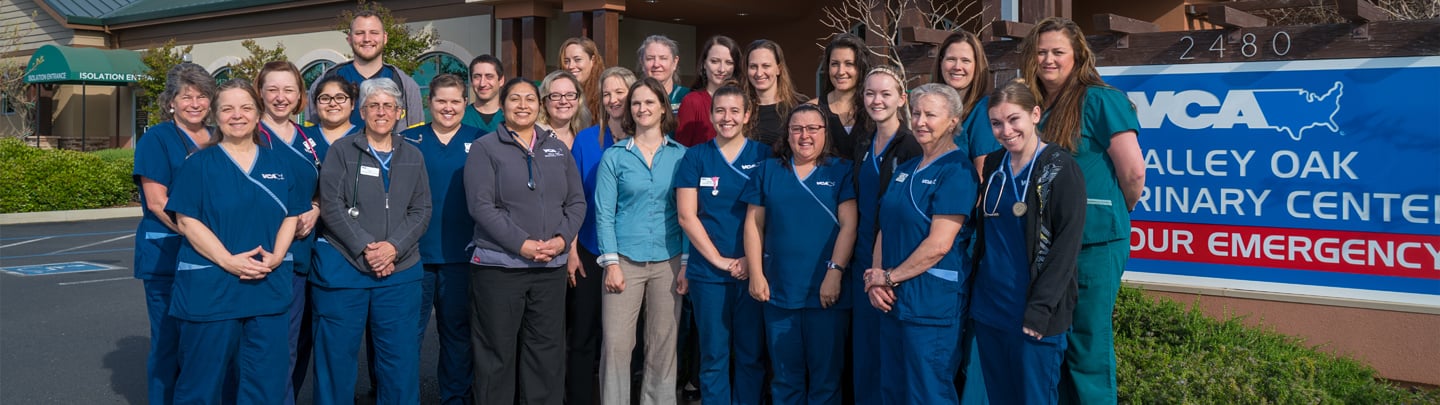 Team Picture of VCA Valley Oak Animal Hospital