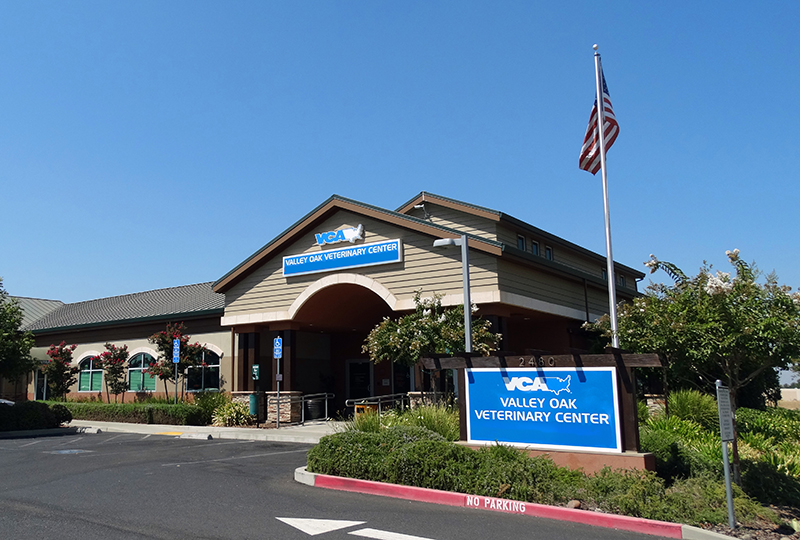 Exterior Hospital Picture of VCA Valley Oak Veterinary Center
