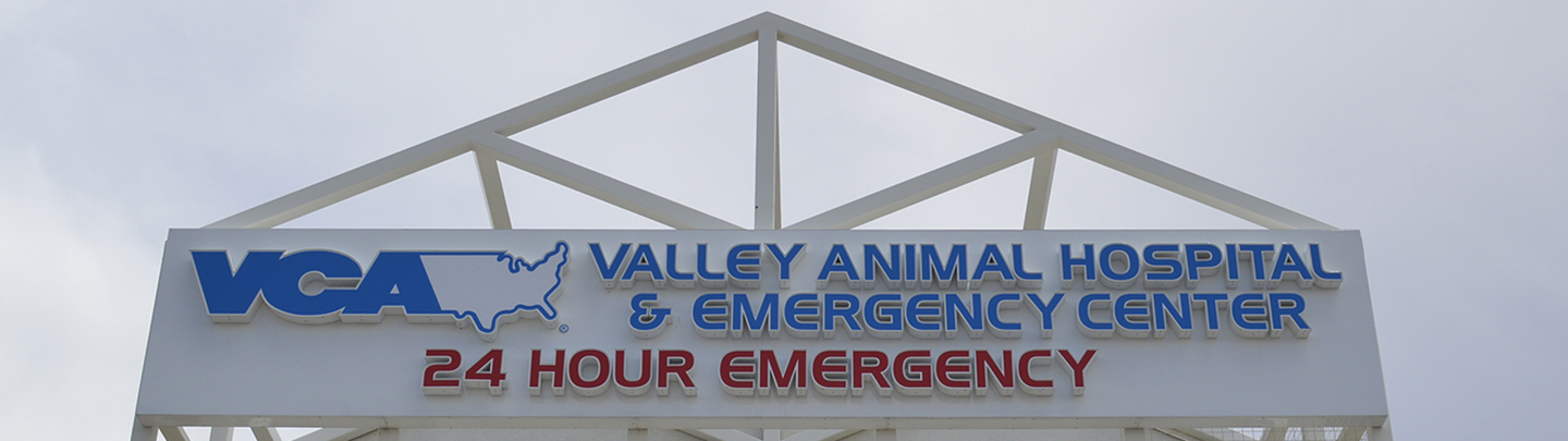 Vca animal hospital 24 clearance hours