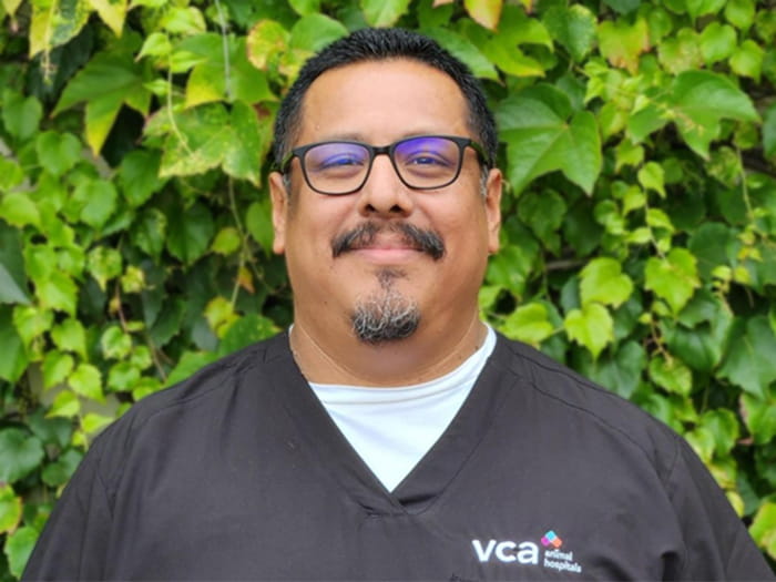 Staff Image