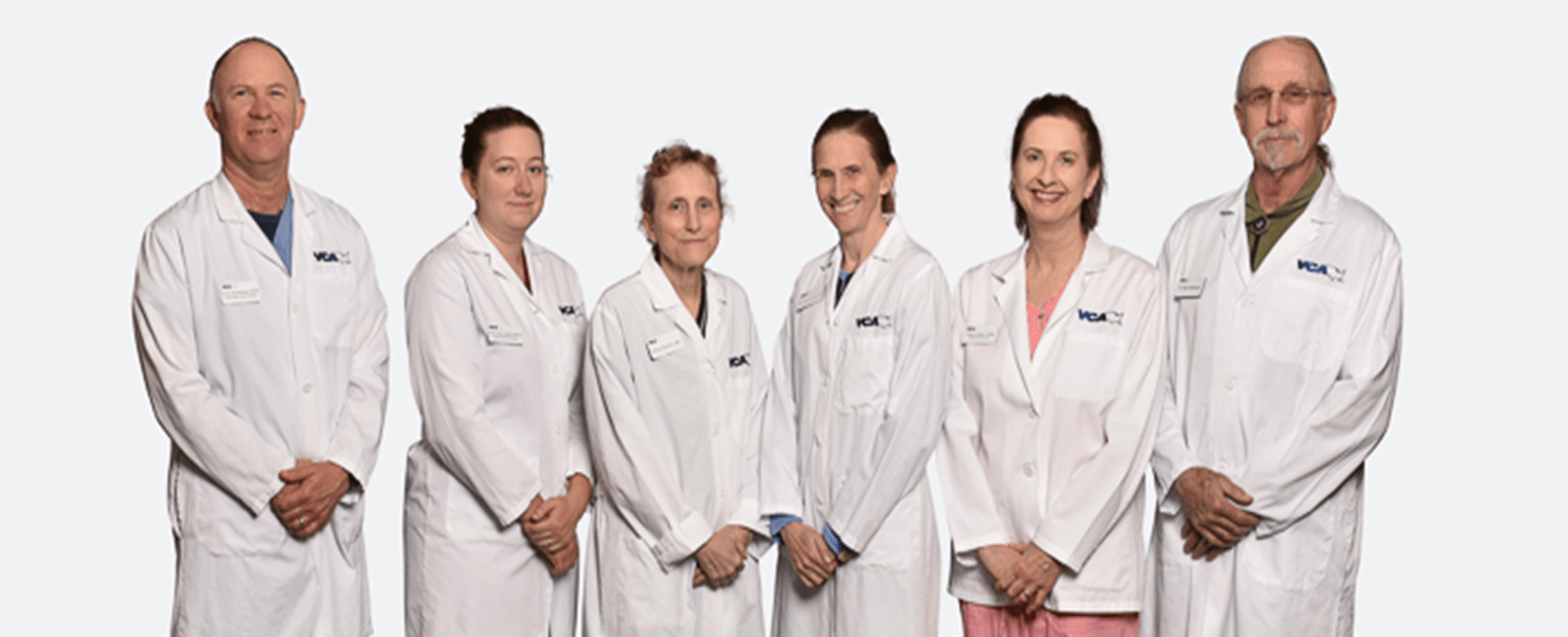 vca veterinary care animal hospital