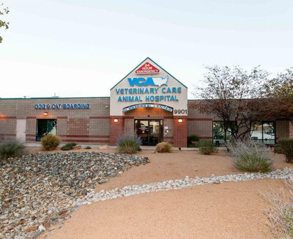 Our Hospital Vca Veterinary Care Animal Hospital And Referral