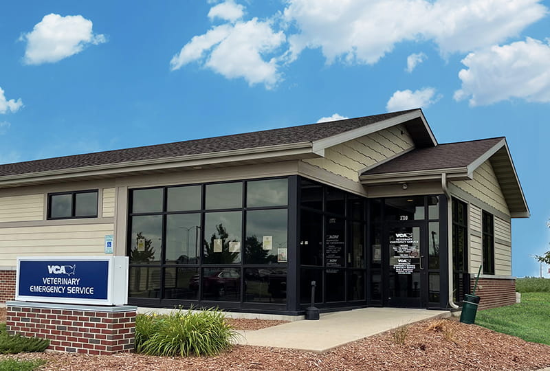 Specialty Veterinarians in Janesville, WI VCA Veterinary Emergency