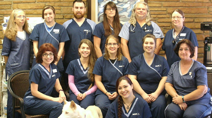 Veterinarians in Tulsa, OK | VCA Veterinary Medical Center