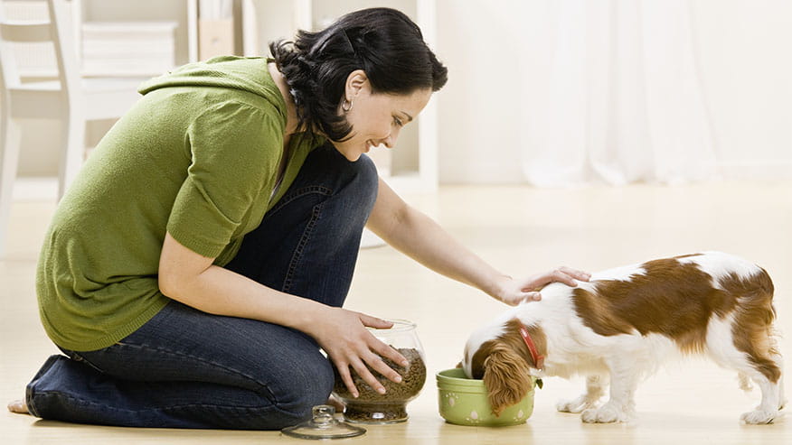 876x493 Departments Nutrition