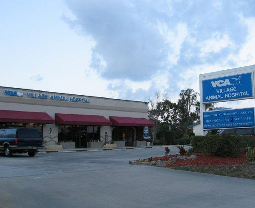 Hospital Picture of  VCA Village Animal Hospital