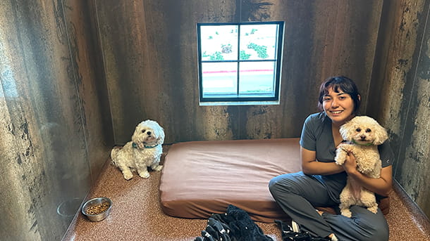 Boarding area at VCA Village Park Animal Hospital