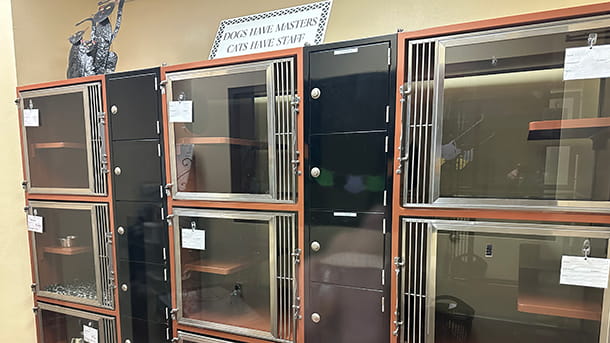 Cat boarding area at VCA Village Park Animal Hospital