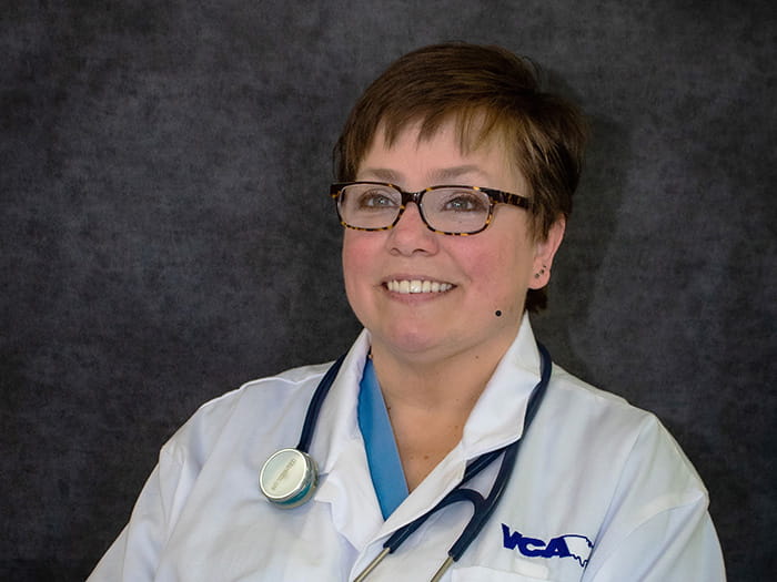 Tammy Smith VCA Vineyard Animal Hospital