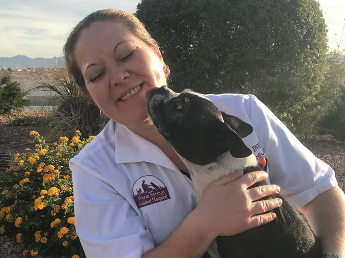 Michelle Parantala | VCA Warm Springs Animal Hospital
