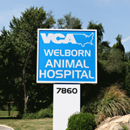 VCA Welborn Animal Hospital
