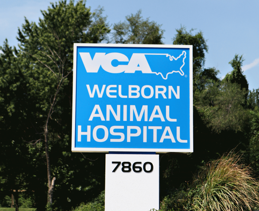 Hospital Picture of  VCA Welborn Animal Hospital