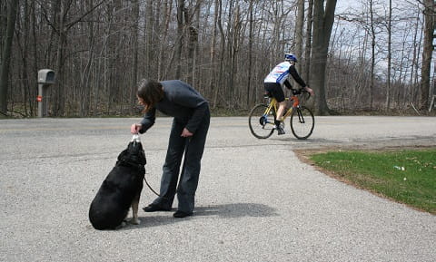 Veterinarians In Kansas City Ks Vca Welborn Animal Hospital