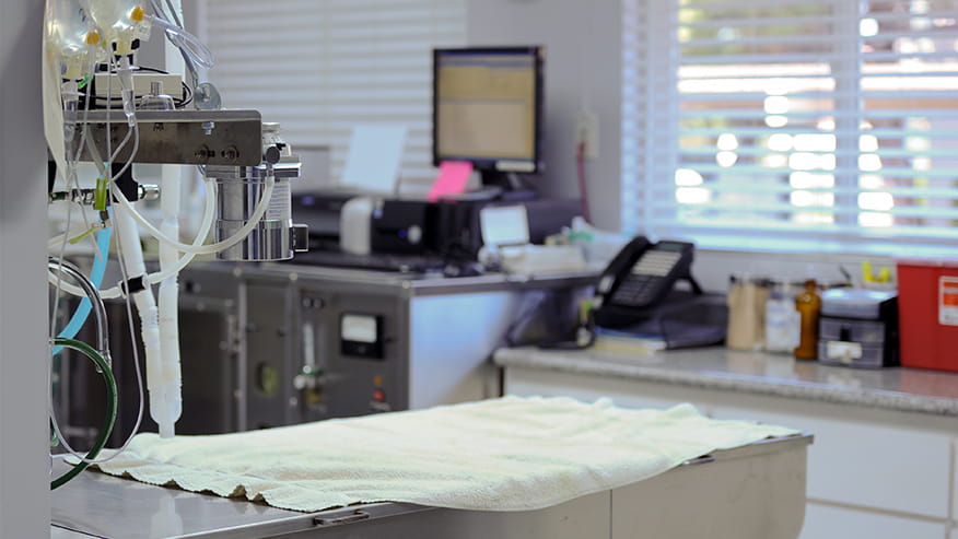 vca wellington animal hospital