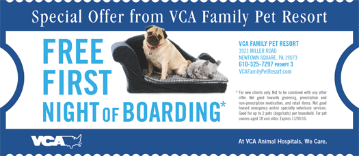 vca wellington animal hospital