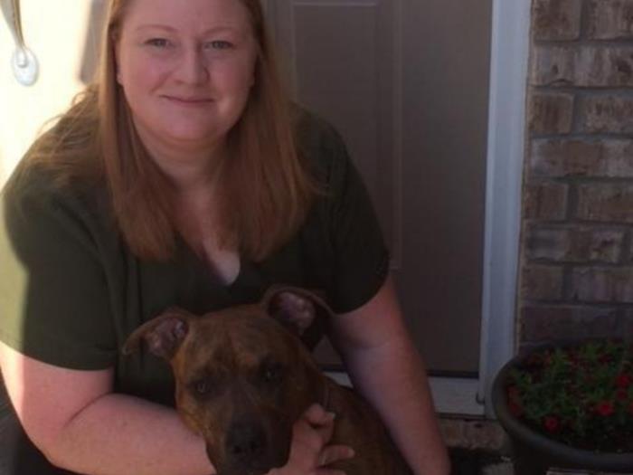 vca west 86th street animal hospital