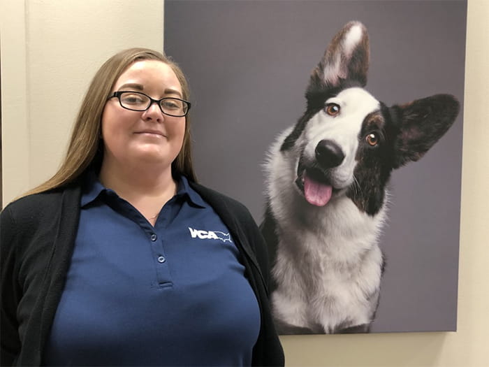 vca west 86th street animal hospital