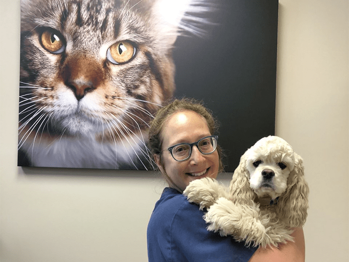 vca west 86th street animal hospital