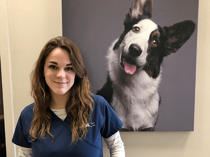 vca west 86th street animal hospital