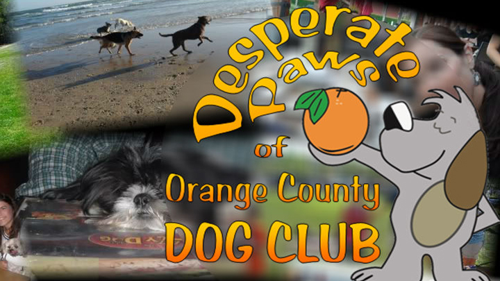 Desperate Paws of Orange County Dog Club