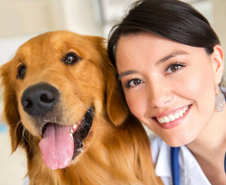 Our Hospital VCA West Hills Animal Hospital