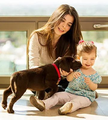 vca sepulveda emergency