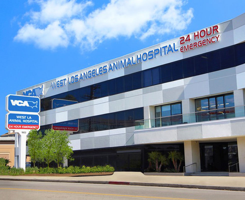 Hospital Picture of  VCA West Los Angeles Animal Hospital