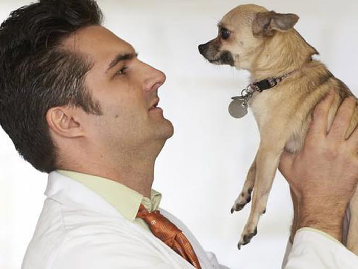 Lisa Silberstein Vca West Los Angeles Animal Hospital