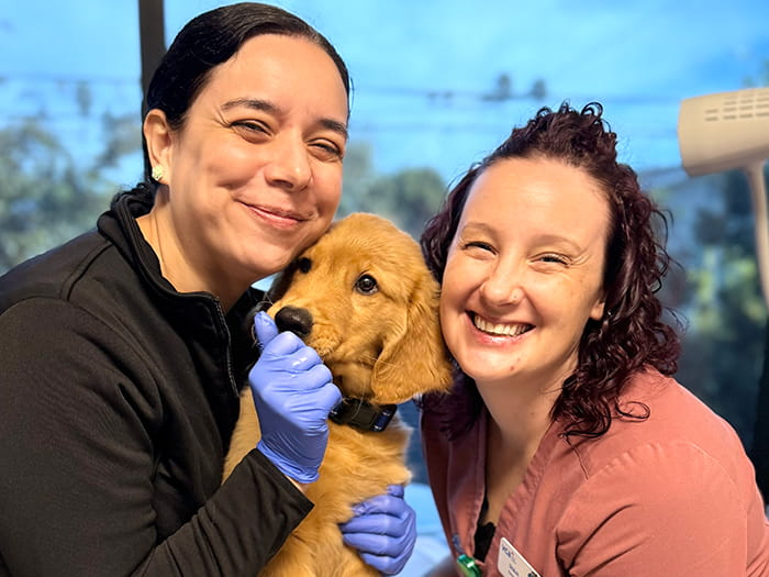 Veterinary staff with puppy
