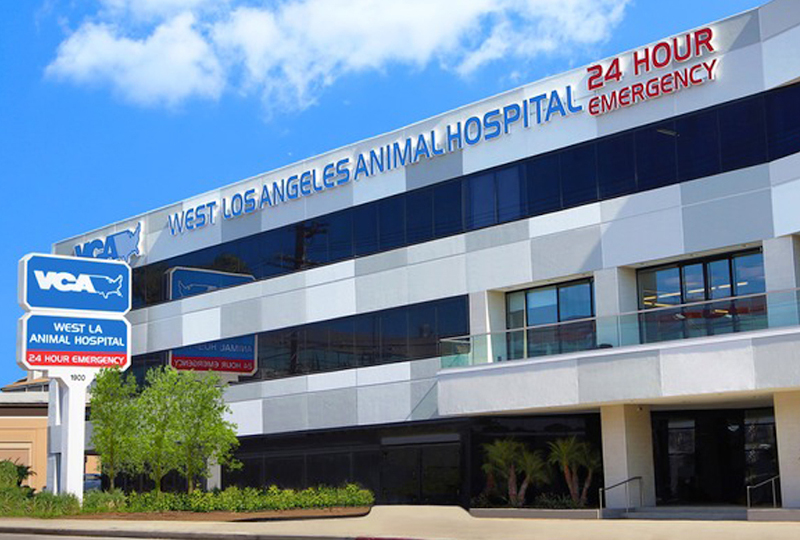 animal hospital on slauson and western
