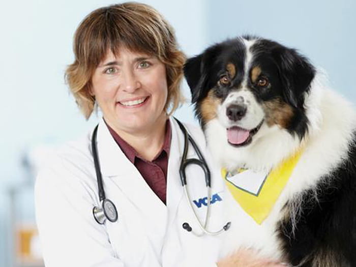 mueller's animal hospital