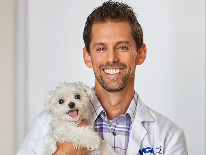 Justin Allen | VCA West Los Angeles Animal Hospital