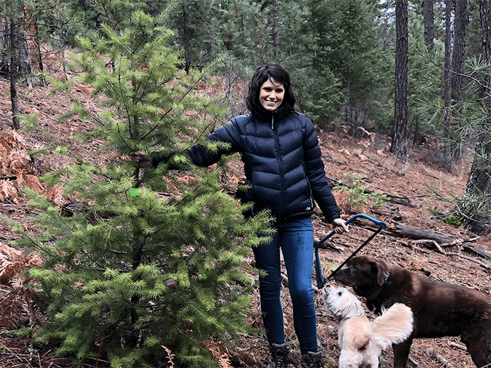 Seattle Vets at VCA West Seattle Veterinary Hospital