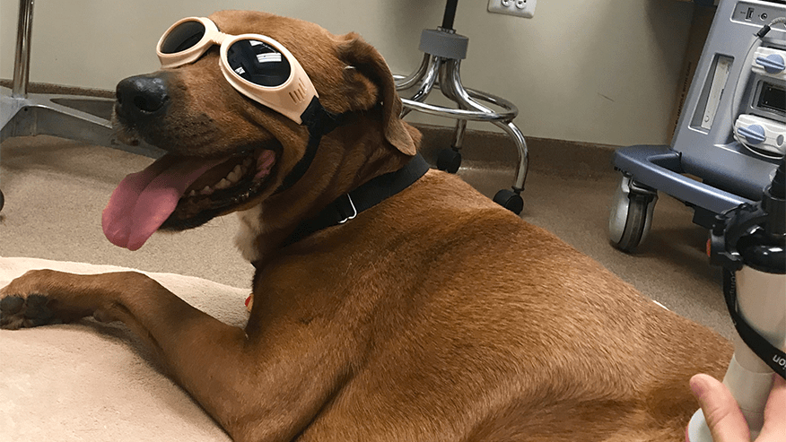 876x493 west suburban ColdLaserTherapy