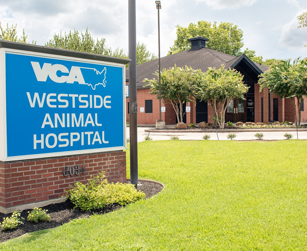 Exterior of VCA Westside Animal Hospital